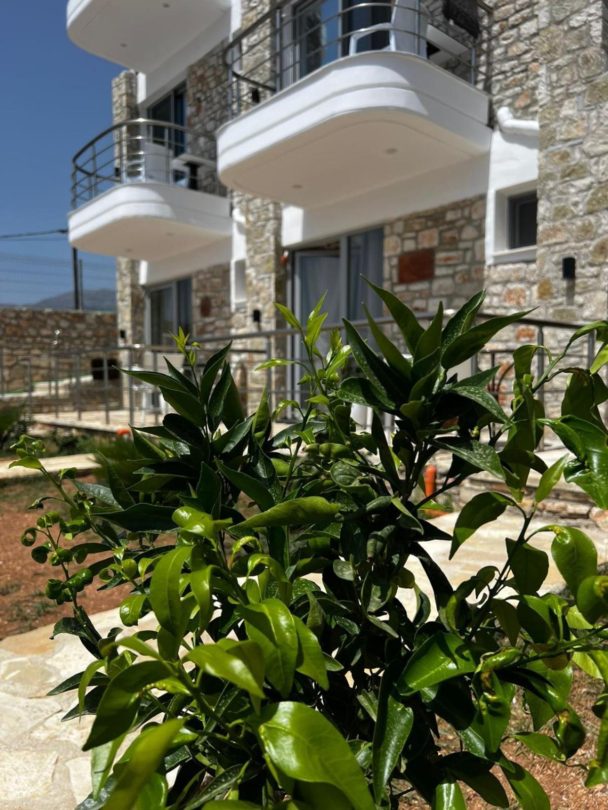 Hotel Noah's 3*